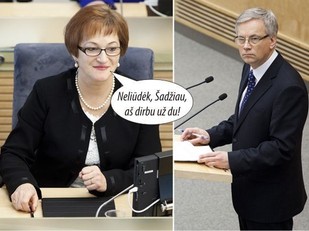 Liberalai teigia, kad Lietuva neturi finansų ministro.