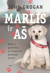 Paveikslėlis